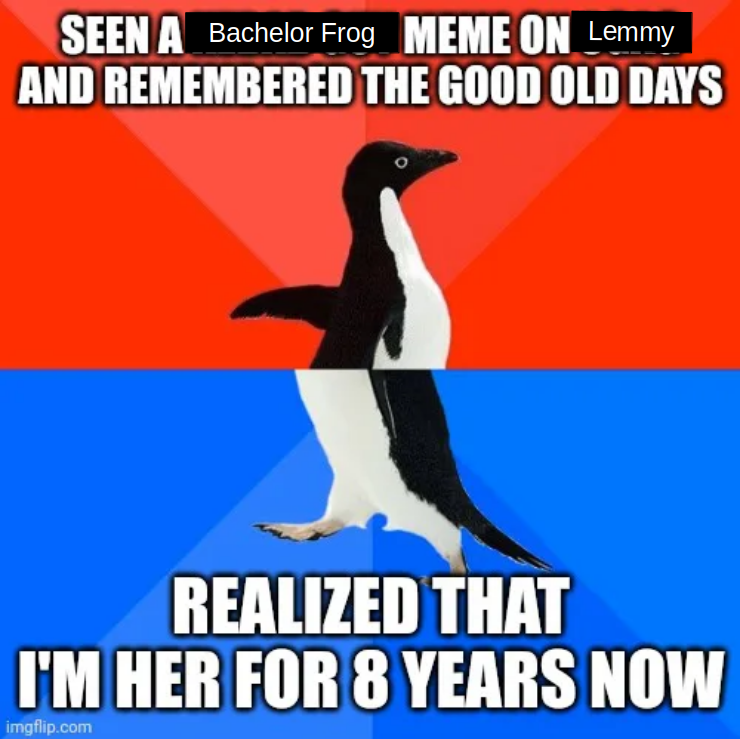 Awkward Penguin Meme with the caption: "Seen a Bachelor Frog Meme on Lemmy and Remembered the Good Old Days", "Realized that I'm her for 8 years now"