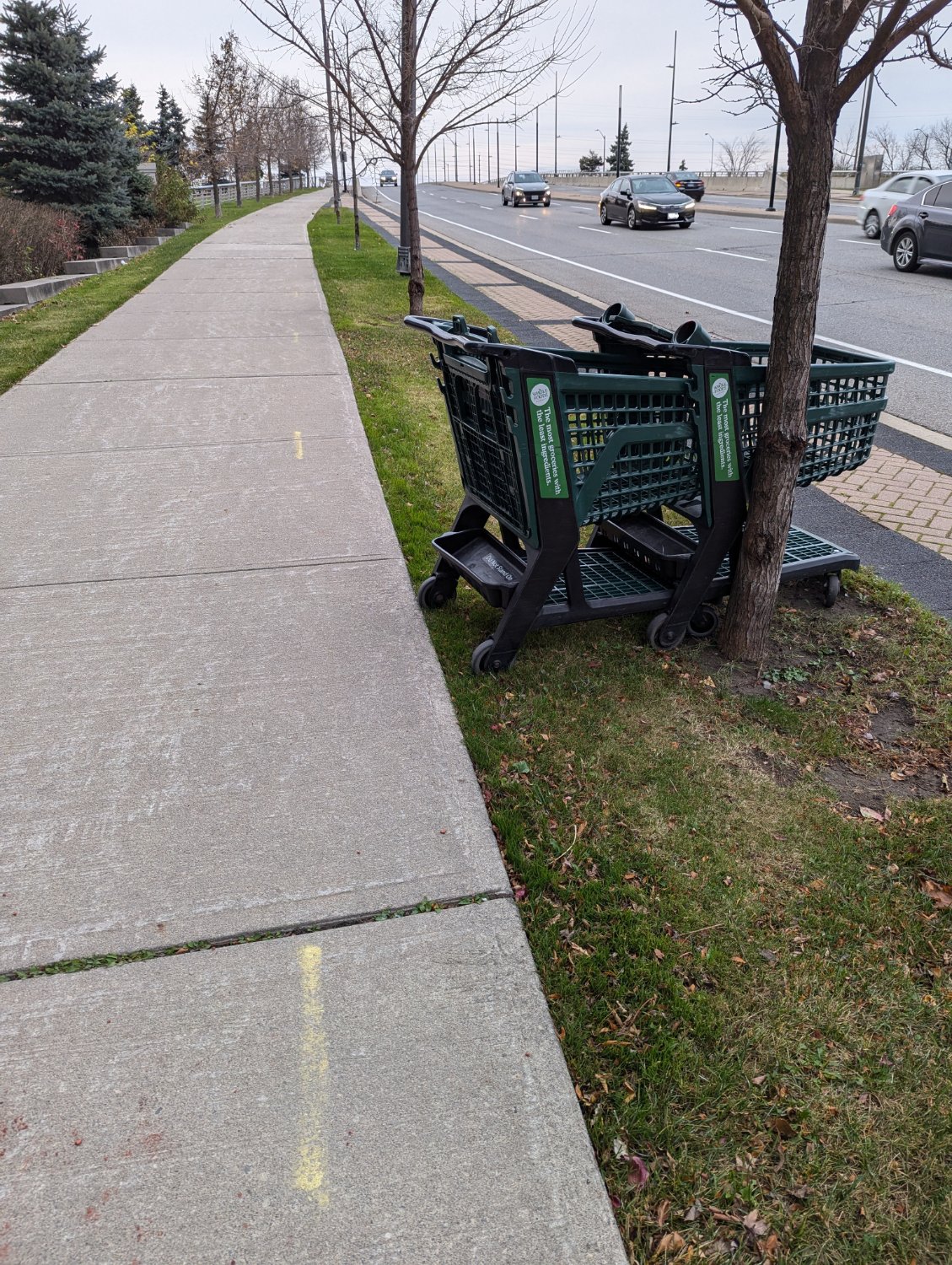 Two whole foods groceries carts enjoy each others company by the side of a road.